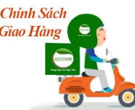 CHÍNH SÁCH GIAO HÀNG